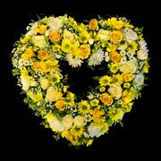 Gold &amp;White Open Heart 