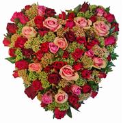 Red Rose &amp; Deep Pink Heart Plus 