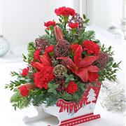Winter Red Sleigh 