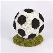 Football Tribute 