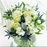 Winter Frost Blue &amp; White Selection 
