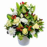 White Sympathy Vase Plus 
