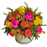 Vibrant Sensation Hat Box 