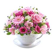 Pale Pink Tea Cup and Saucer 