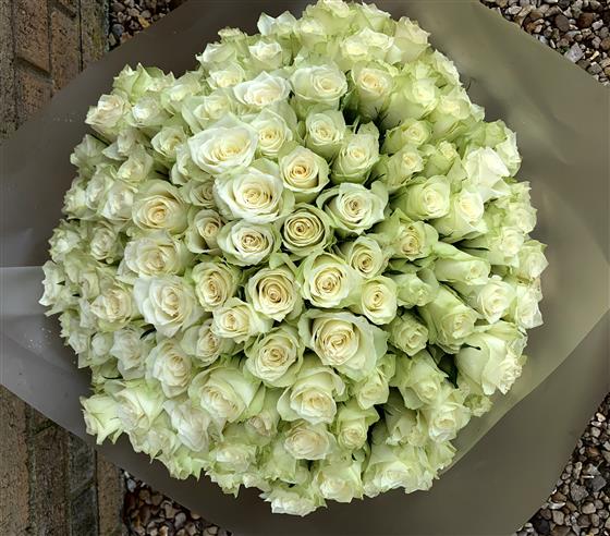 300 White Roses : Loose Wrap Bouquet