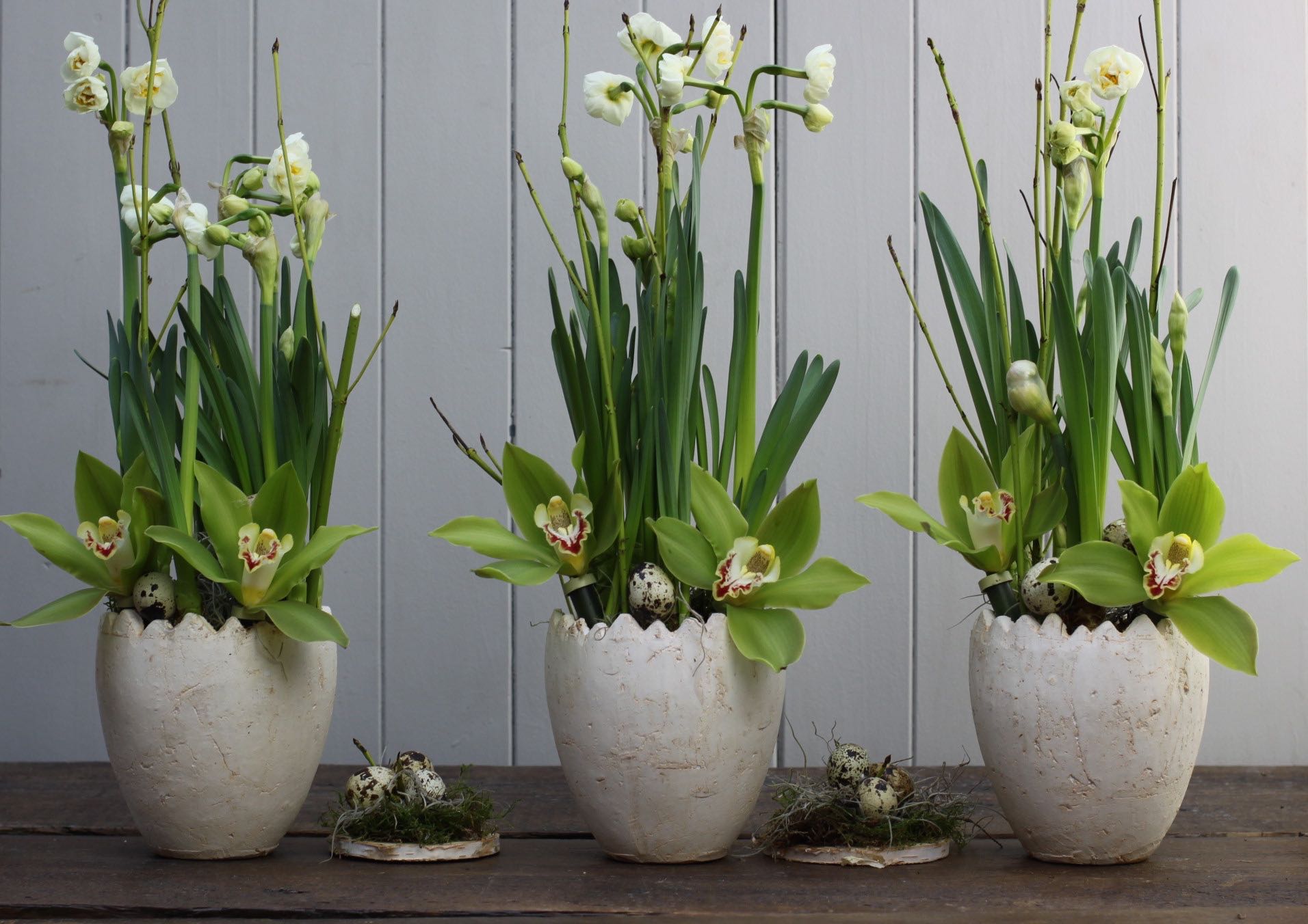 Burghley Flower Centre Order Online Or 01733 358372