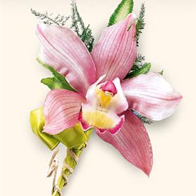 fwthumbCymbidium_Orchid_4c0e3d4cc98ec.jpg