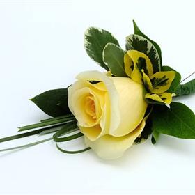 fwthumbGrooms_Buttonair_4c010b57d3ce9.jpg