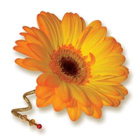 fwthumbOrange_Gerbera_Buttonhole.jpg