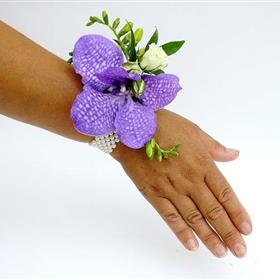 fwthumbPurple_Orchid_Wr_4c2d9e0124be2.jpg