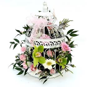 fwthumbBird_Cage_Hire_4db3d6e79ccf4.jpg