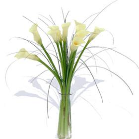 fwthumbIvory_Lilly_Tabl_4b900a62e2357.jpg